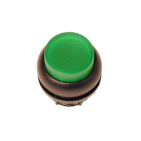 Illuminated pushbutton actuator, RMQ-Titan, Extended, maintained, green, Blank, Bezel: black image 1