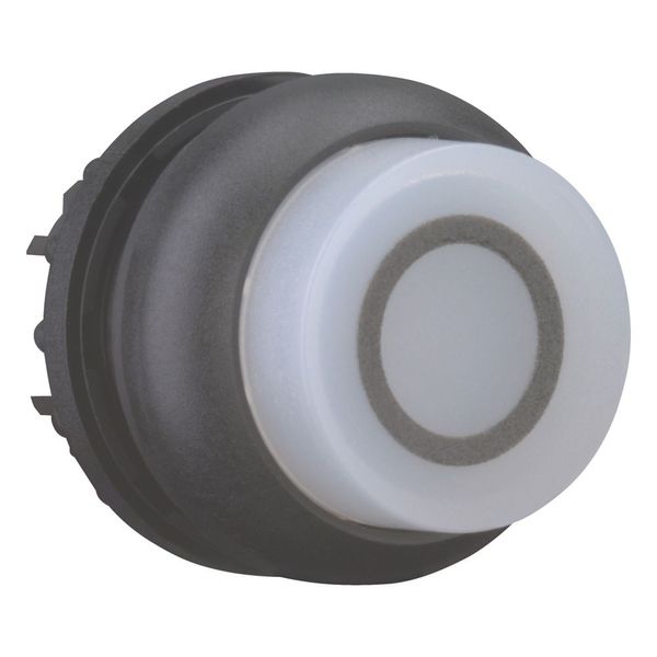 Illuminated pushbutton actuator, RMQ-Titan, Extended, momentary, White, inscribed 0, Bezel: black image 11