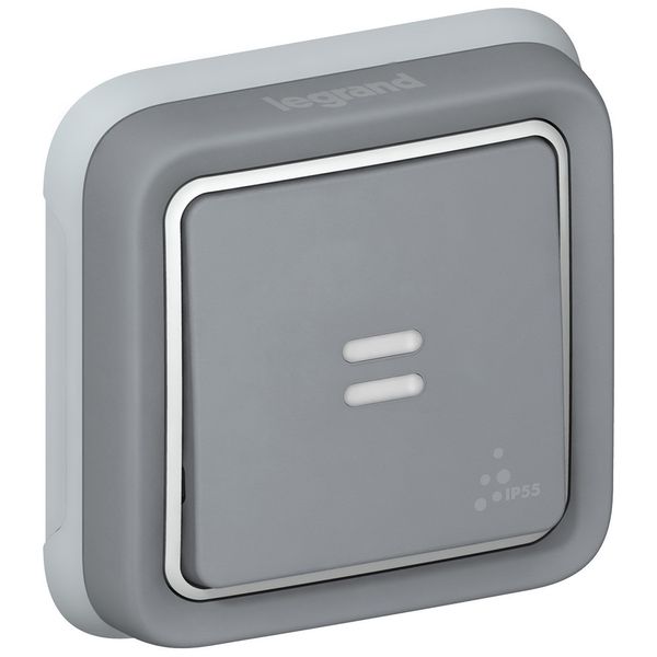 Push-button Plexo IP 55 - illuminated changeover - flush mounting - grey image 1