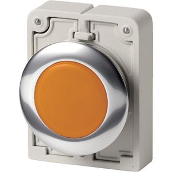 Indicator light, RMQ-Titan, Flat, orange, Metal bezel image 8