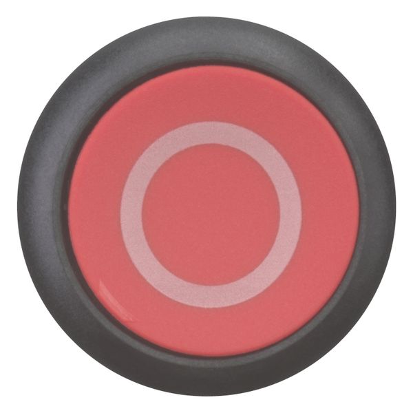 Pushbutton, RMQ-Titan, Flat, momentary, red, inscribed, Bezel: black image 4