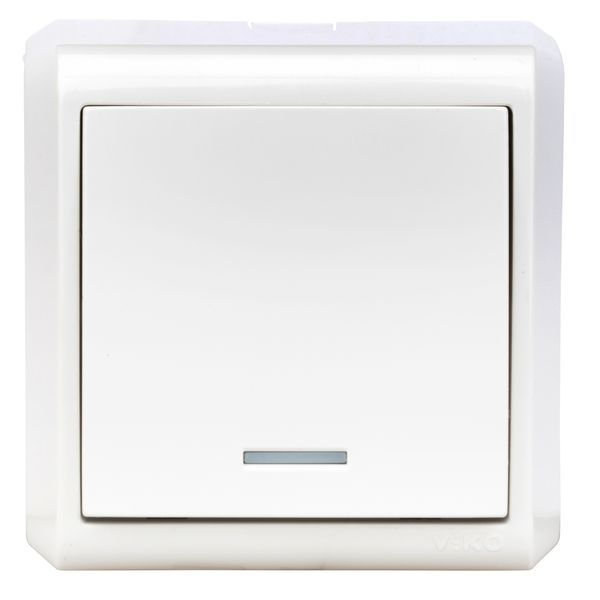 One-way switch illuminated, screw clamps, VISIO IP20, white image 1