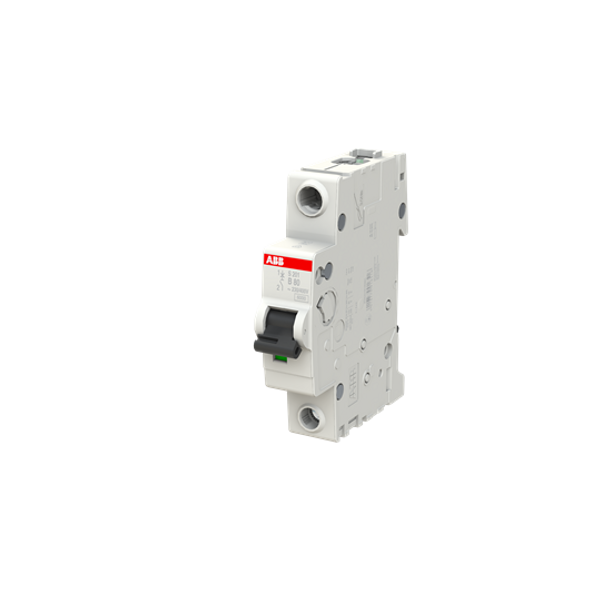 S201-C100 Miniature Circuit Breaker - 1P - C - 100 A image 2