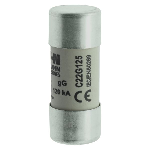 Fuse-link, LV, 125 A, AC 400 V, 22 x 58 mm, gL/gG, IEC image 9