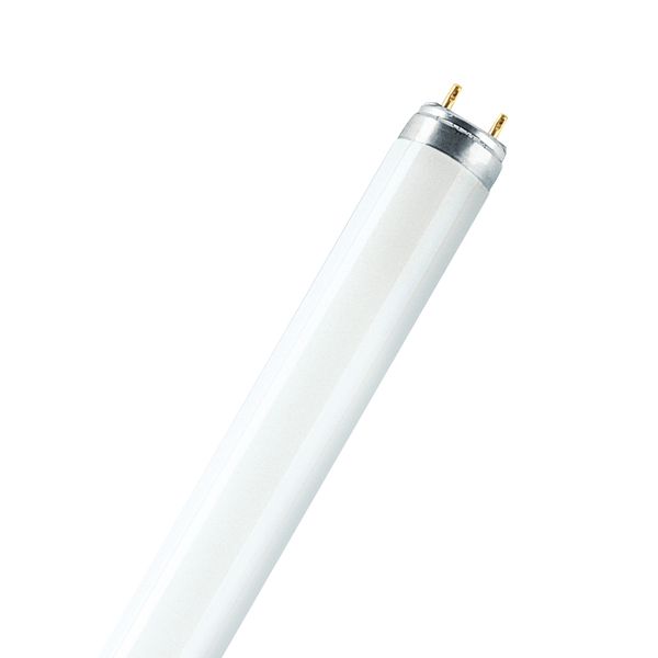Fluorescent lamp Spectralux®Plus , NL-T8 15W/840/G13 image 1