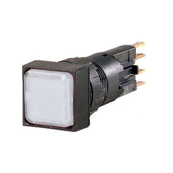 Indicator light, flush, white, +filament lamp, 24 V image 3