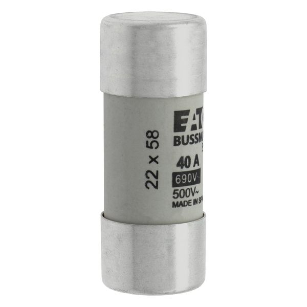 Fuse-link, LV, 40 A, AC 690 V, 22 x 58 mm, gL/gG, IEC image 21