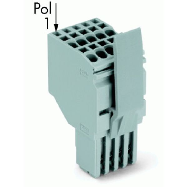 2-conductor female connector Push-in CAGE CLAMP® 1.5 mm² gray image 1