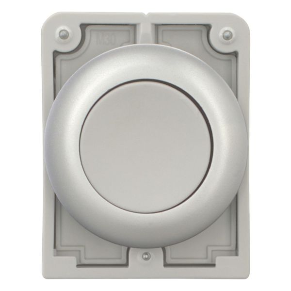 Pushbutton, RMQ-Titan, Flat, momentary, gray, Blank, Metal bezel image 9