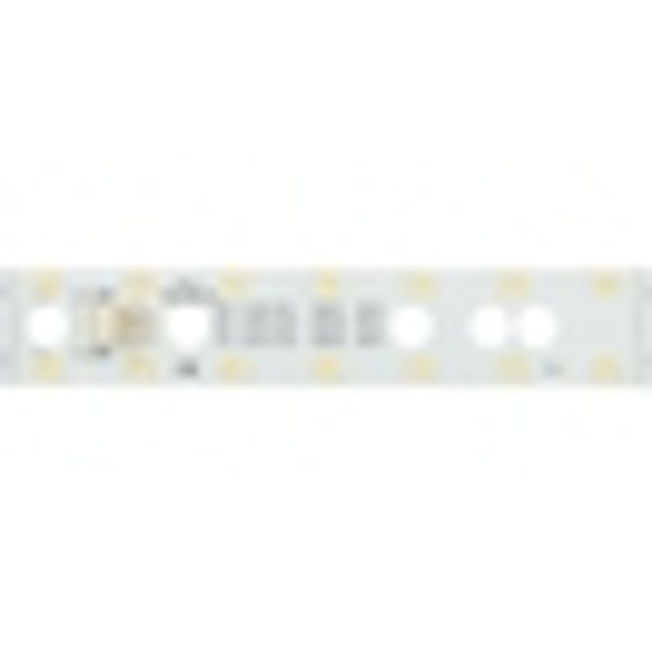 LED PCB Module25 NW (Neutral White) - IP20, CRI/RA 80+ image 2