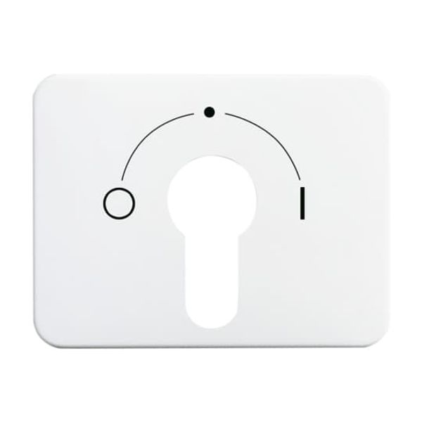 2142 DR-34 CoverPlates (partly incl. Insert) carat® Alpine white image 7