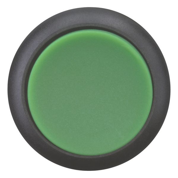 Pushbutton, RMQ-Titan, Extended, momentary, green, Blank, Bezel: black image 9