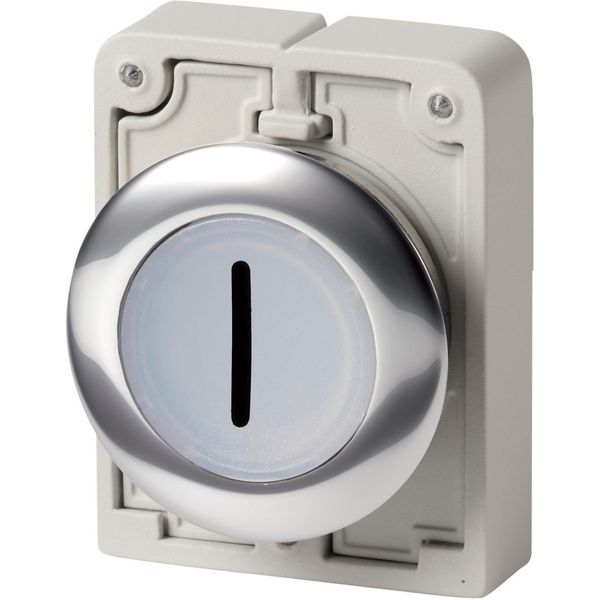 Illuminated pushbutton actuator, RMQ-Titan, Flat, maintained, White, inscribed 1, Metal bezel image 3