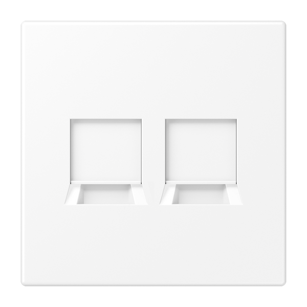 Centre plate for MJ f. 2 sockets LS1969-2WEWWM image 1