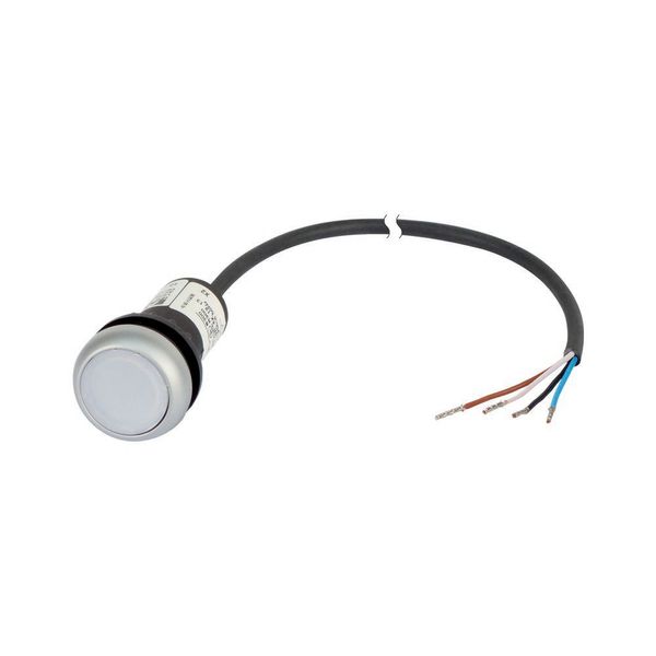 Illuminated pushbutton actuator, Flat, momentary, 1 N/O, Cable (black) with non-terminated end, 4 pole, 1 m, LED white, White, Blank, 24 V AC/DC, Beze image 4