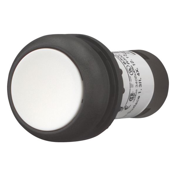 Pushbutton, Flat, maintained, 1 NC, 1 N/O, Screw connection, White, Blank, Bezel: black image 2