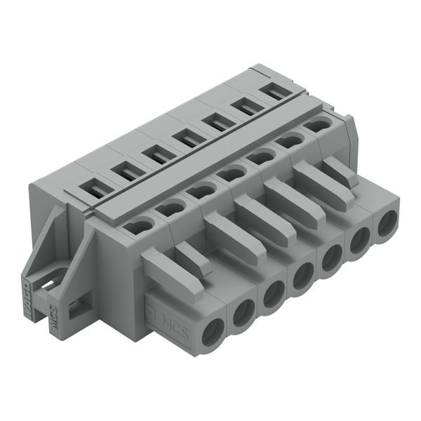 1-conductor female connector CAGE CLAMP® 2.5 mm² gray image 1