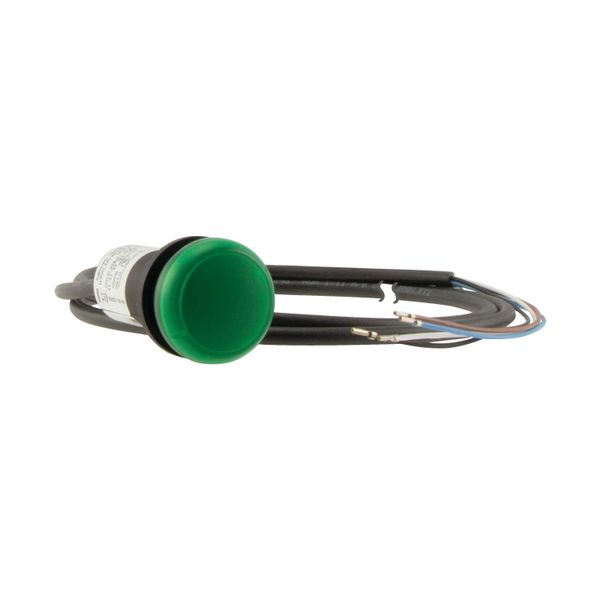 Indicator light, Flat, Cable (black) with non-terminated end, 4 pole, 3.5 m, Lens green, LED green, 24 V AC/DC image 17