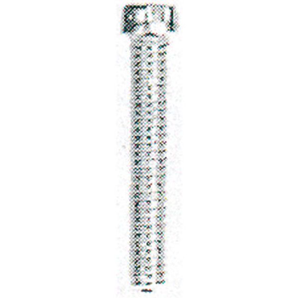 Mounting screw (Terminal), 0.00 M3.0 image 2