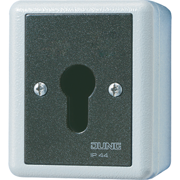 Key switch/push-button 806.28G image 2