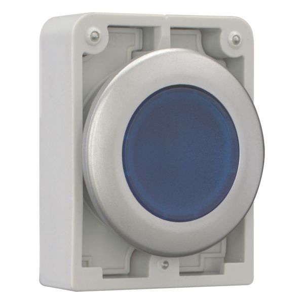 Illuminated pushbutton actuator, RMQ-Titan, Flat, momentary, Blue, Blank, Metal bezel image 11