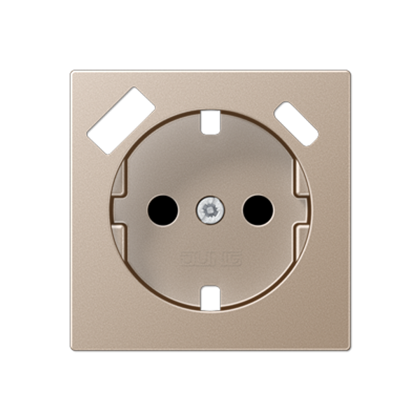 Centre plate SCHUKO® sockets A1520-15CAPLCH image 1