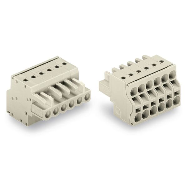 2-conductor female connector Push-in CAGE CLAMP® 2.5 mm² light gray image 1