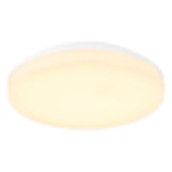 Maia LED Round 280 24W/18W 3K/4K 230V IP54 Sensor white image 2