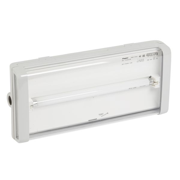 Emergency luminaire B66 - non-maintained - IP 66 - 1h - 250 lm image 1
