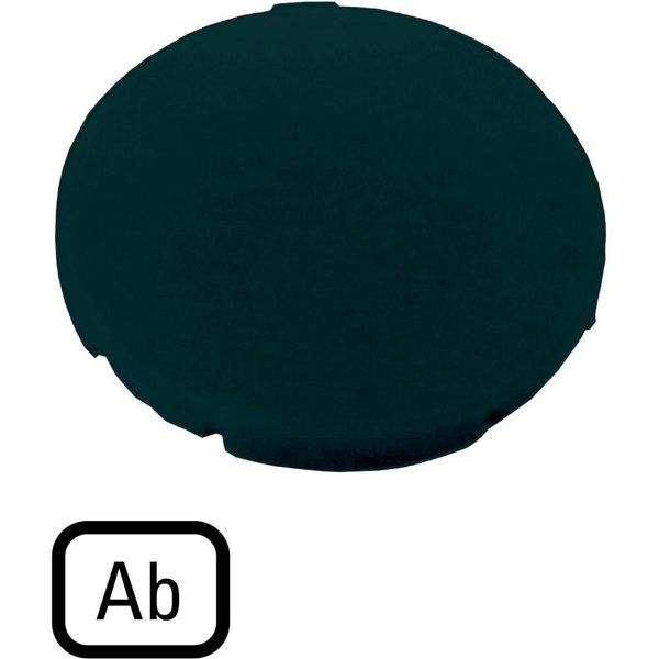 Button plate, flat black, AB image 2