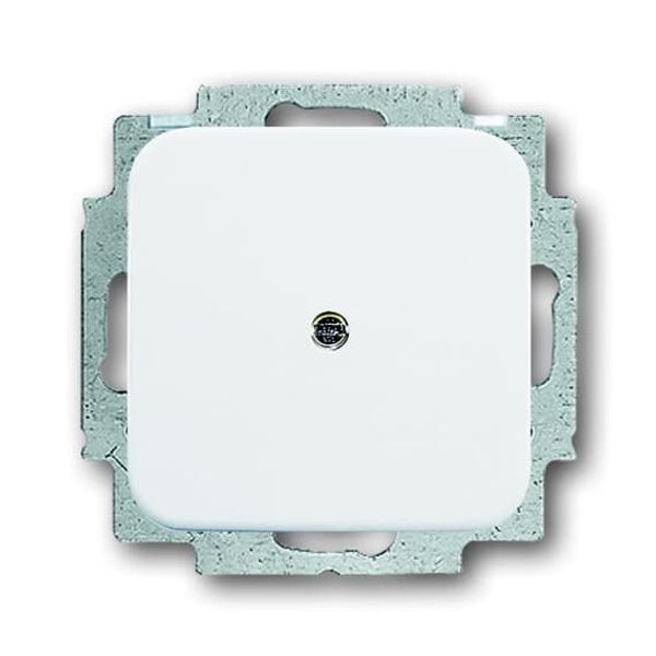 2538-214-500 CoverPlates (partly incl. Insert) carat® Alpine white image 1