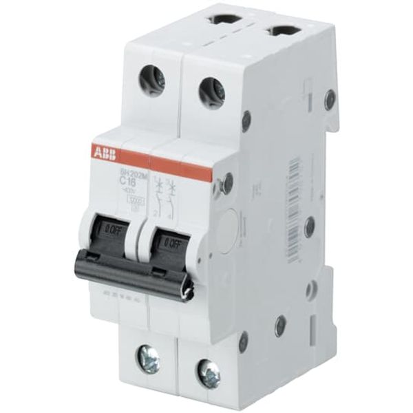 SH202M-C20 Miniature Circuit Breaker - 2P - C - 20 A image 1