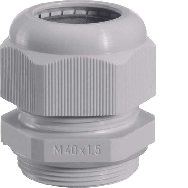 Cable gland, vector, IP65, M40 image 1