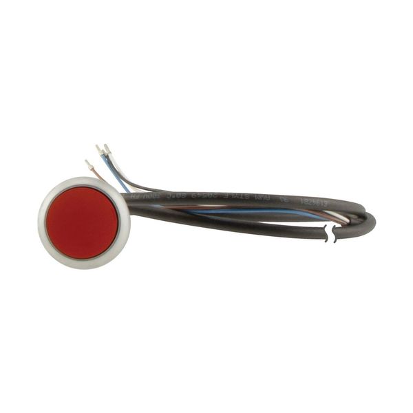 Pushbutton, Flat, momentary, 1 NC, Cable (black) with non-terminated end, 4 pole, 3.5 m, red, Blank, Bezel: titanium image 13