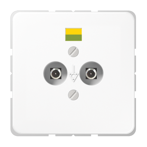 Socket 2 Poles CD565-2WW image 1