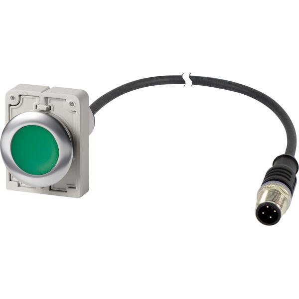 Pushbutton, Flat, momentary, 1 N/O, Cable (black) with M12A plug, 4 pole, 1 m, green, Blank, Metal bezel image 3