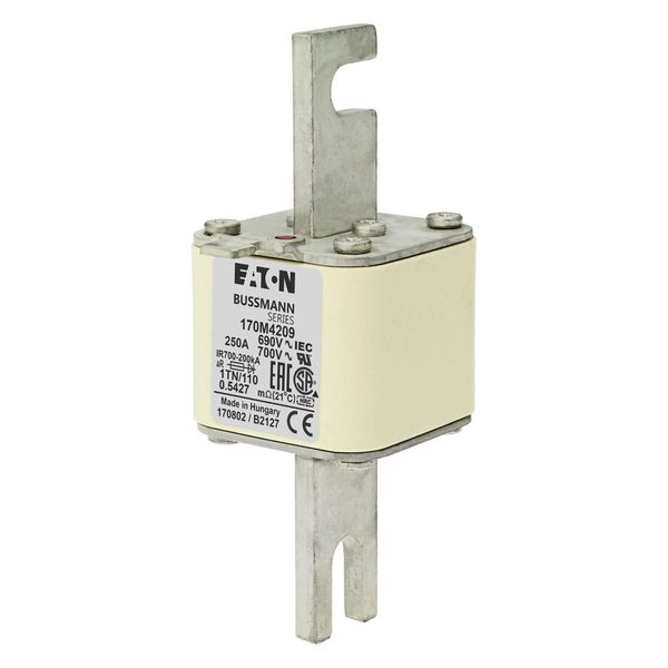 Fuse-link, high speed, 250 A, AC 690 V, DIN 1, 53 x 66 x 138 mm, aR, DIN, IEC, type T indicator image 5