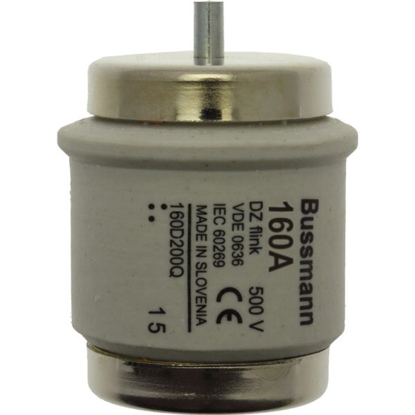 Fuse-link, low voltage, 160 A, AC 500 V, D5, 56 x 46 mm, gR, DIN, IEC, fast-acting image 1