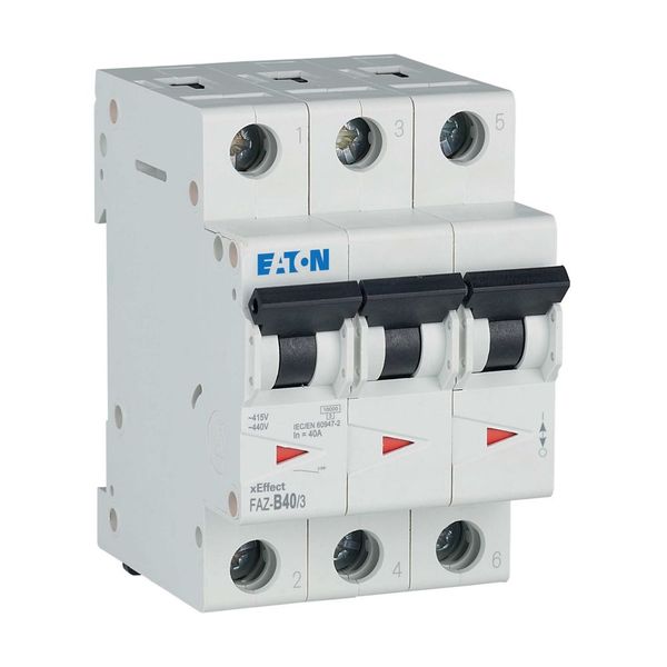 Miniature circuit breaker (MCB), 40 A, 3p, characteristic: B image 20