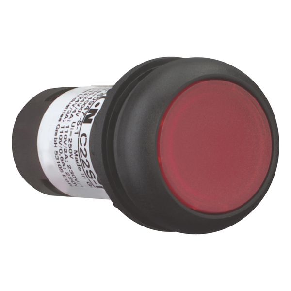 Illuminated pushbutton actuator, Flat, maintained, 1 NC, Screw connection, LED Red, red, Blank, 120 V AC, Bezel: black image 7
