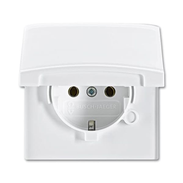 20 EUGK-34-101-500 Cover Plates (partly incl. Insert) Protective Contact (SCHUKO) with Hinged Lid alpine white - Allwetter 44 (IP 44) image 1
