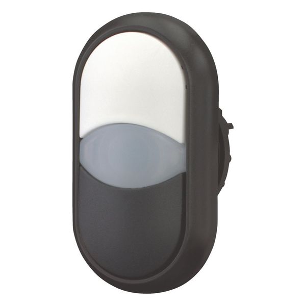 Double actuator pushbutton, RMQ-Titan, Actuators and indicator lights non-flush, momentary, White lens, white, black, Blank, Bezel: black image 5