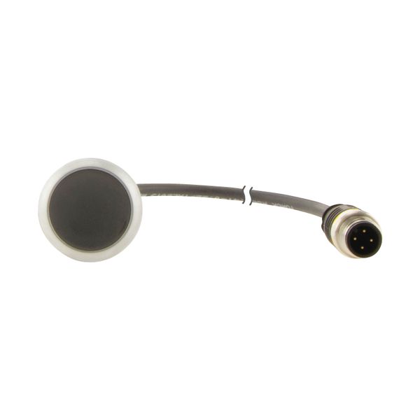 Pushbutton, Flat, momentary, 1 NC, Cable (black) with M12A plug, 4 pole, 1 m, black, Blank, Bezel: titanium image 13