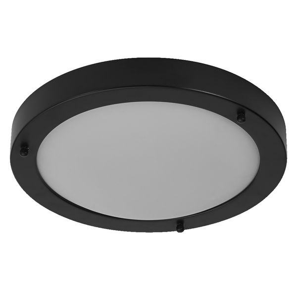 Bathroom Ceiling Luminaire IP44 E27 310mm E27 Black image 7