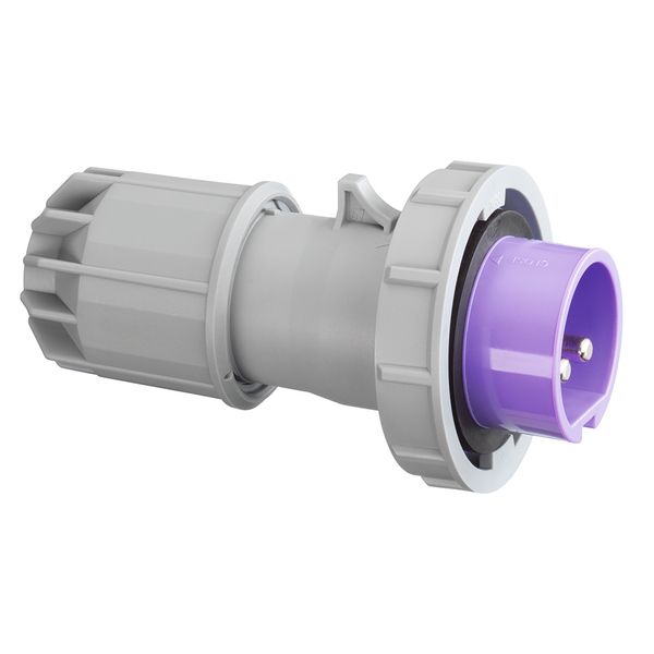 CEE plug, IP67, 16A, 2-pole, 24V, purple image 1