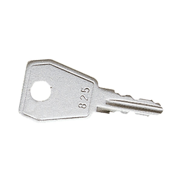 Spare key for all hinged lids with safe. 808SL image 2