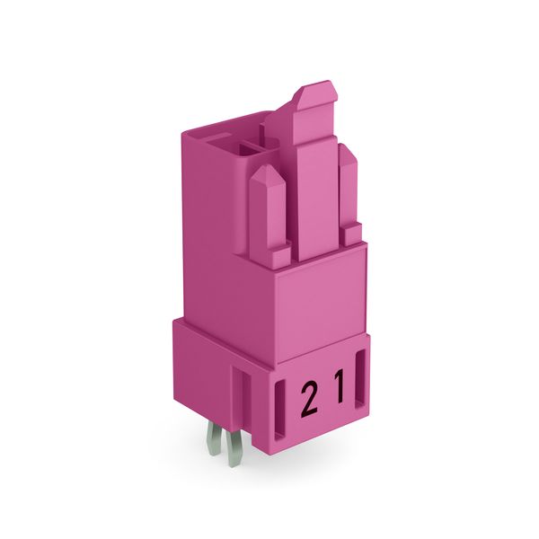 Plug for PCBs straight 2-pole pink image 1