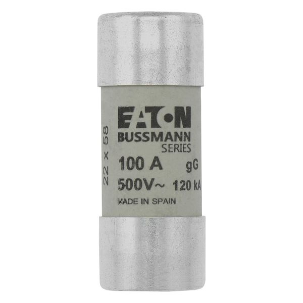 Fuse-link, LV, 100 A, AC 500 V, 22 x 58 mm, gL/gG, IEC, with striker image 6