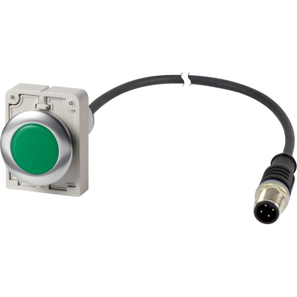 Indicator light, Flat, Cable (black) with M12A plug, 4 pole, 1 m, Lens green, LED green, 24 V AC/DC image 4