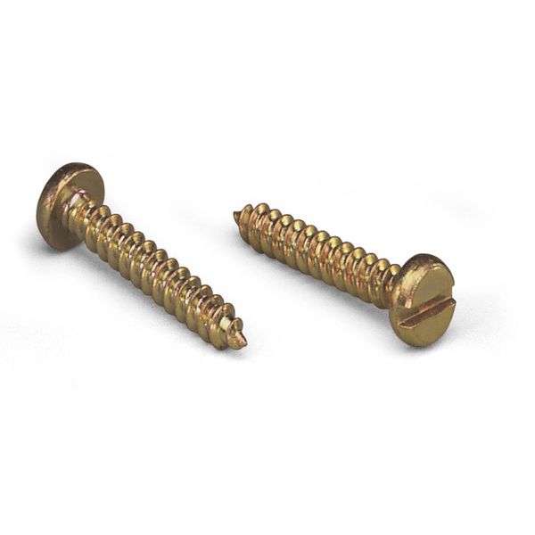 Self-tapping screw image 1